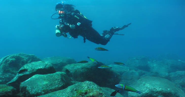 Unterwasserfotografie La Gomera, Kanarische Inseln