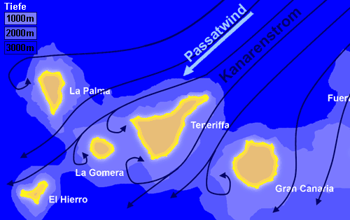 Karte: Kanarenstrom und marine Auftriebsgebiete hinter den Inseln